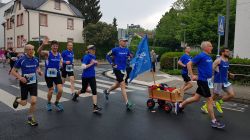 Hoechster-Kreisstadtlauf