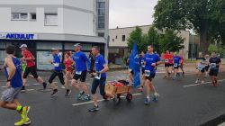 Hoechster-Kreisstadtlauf