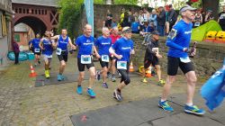 Hoechster-Kreisstadtlauf